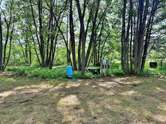 45568 213th Ln, Aitkin, MN 56431 - view of yard