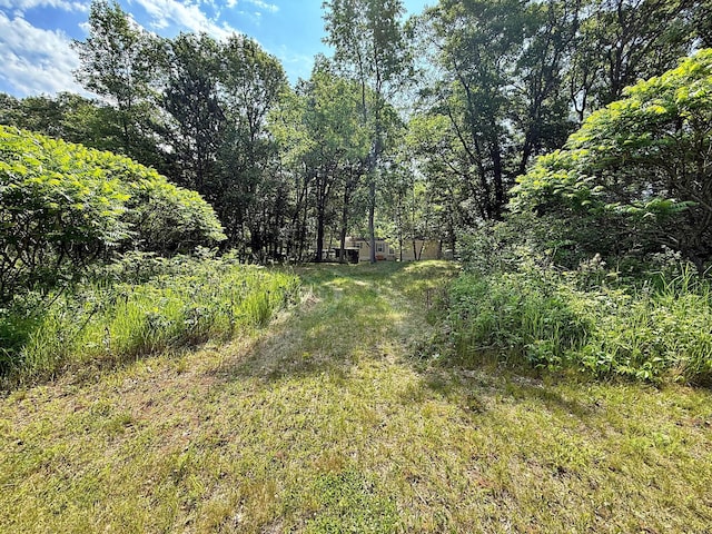 45568 213th Ln, Aitkin, MN 56431 - view of wooded area