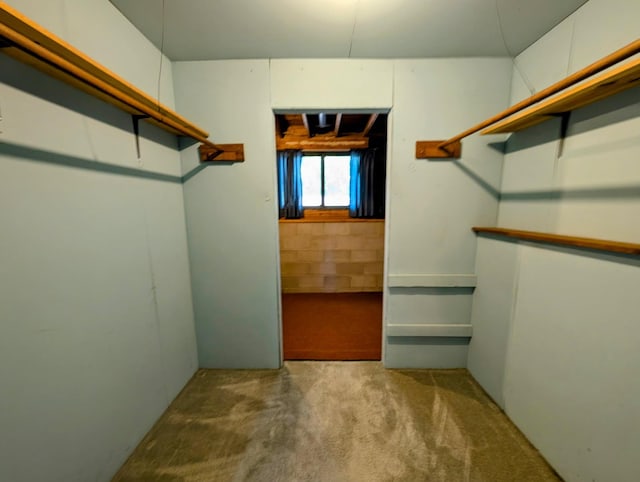 314 11th St, Montevideo, MN 56265 - walk in closet with carpet