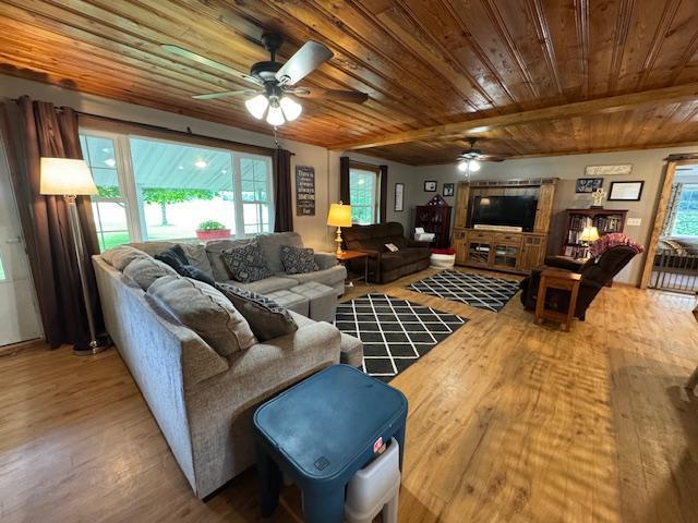14717 State 210, Stowe Prairie Twp, MN 56453 - living area with ceiling fan, wooden ceiling, wood finished floors, and healthy amount of natural light