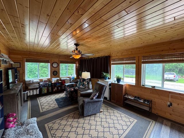14717 State 210, Stowe Prairie Twp, MN 56453 - living room featuring wood ceiling, wooden walls, ceiling fan, and light wood-type flooring