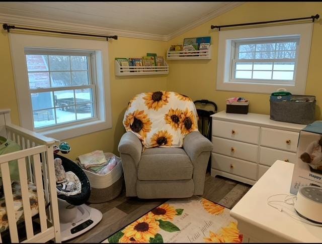 14717 State 210, Stowe Prairie Twp, MN 56453 - bedroom with wood finished floors, lofted ceiling, and crown molding