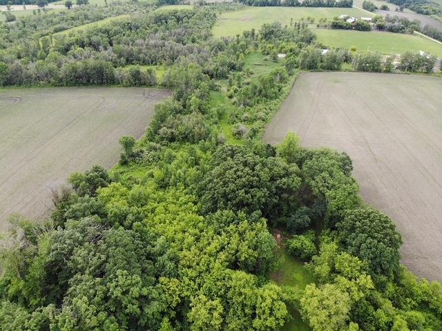 14717 State 210, Stowe Prairie Twp, MN 56453 - overview of rural landscape