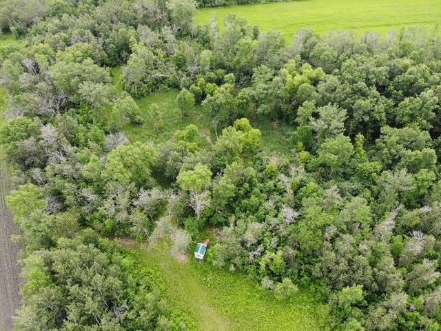 14717 State 210, Stowe Prairie Twp, MN 56453 - bird's eye view