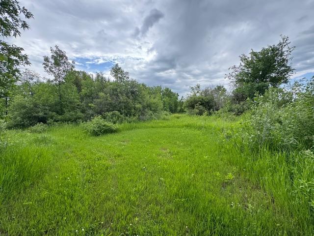 14717 State 210, Stowe Prairie Twp, MN 56453 - view of local wilderness