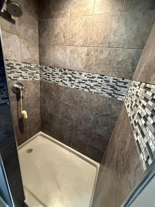 411 Vernon Ave, Morgan, MN 56266 - full bathroom with a tile shower