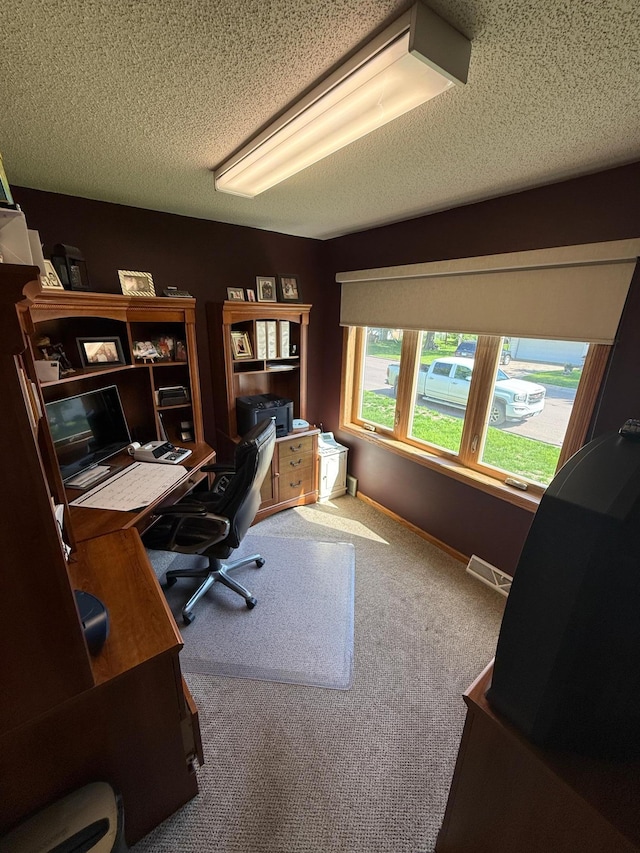 411 Vernon Ave, Morgan, MN 56266 - office space featuring a textured ceiling and carpet flooring