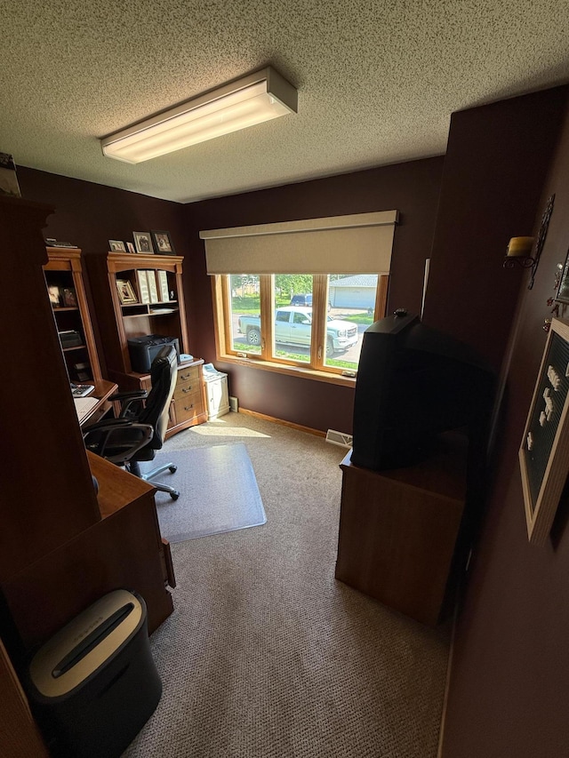 411 Vernon Ave, Morgan, MN 56266 - home office featuring a textured ceiling and carpet flooring