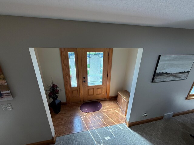 411 Vernon Ave, Morgan, MN 56266 - foyer with light colored carpet