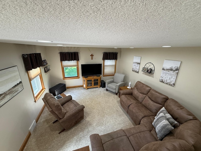 411 Vernon Ave, Morgan, MN 56266 - living room with carpet floors and a textured ceiling