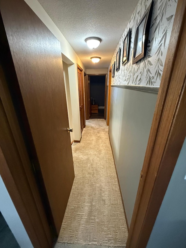 411 Vernon Ave, Morgan, MN 56266 - corridor featuring a textured ceiling and light colored carpet