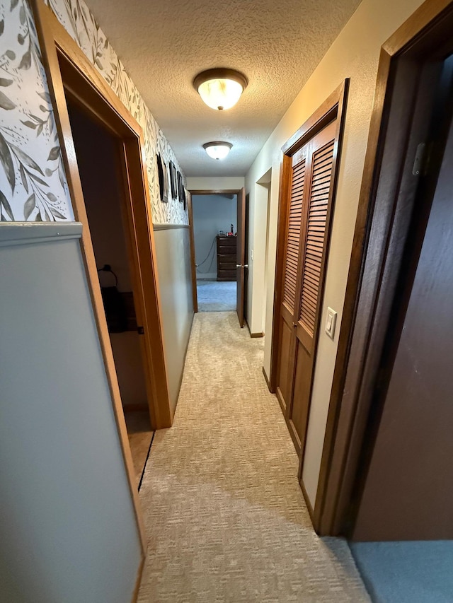 411 Vernon Ave, Morgan, MN 56266 - hallway featuring light colored carpet and a textured ceiling