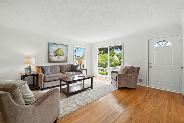1464 Kent St, Saint Paul, MN 55117 - living area with light wood finished floors and a textured ceiling