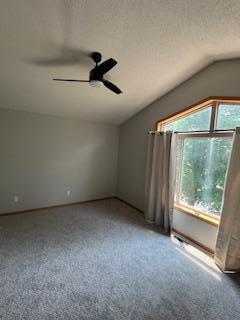 1129 Willow Trl, Farmington, MN 55024 - carpeted empty room with vaulted ceiling and a textured ceiling