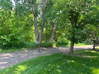 1129 Willow Trl, Farmington, MN 55024 - view of nature