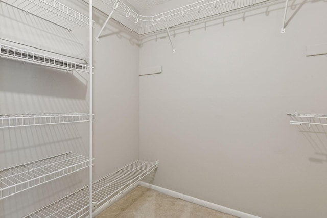 6650 Vernon Ave S Unit 111, Edina, MN 55436 - spacious closet with carpet flooring