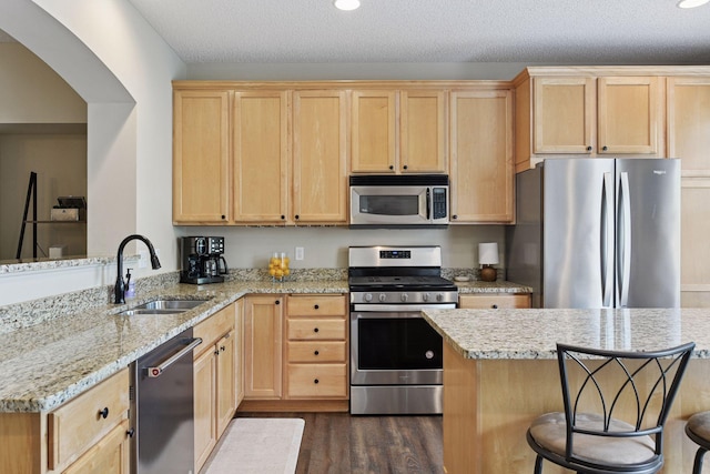 8356 Townsend Dr, Eden Prairie, MN 55344 - kitchen featuring stainless steel appliances, light brown cabinetry, a peninsula, dark wood-type flooring, and recessed lighting