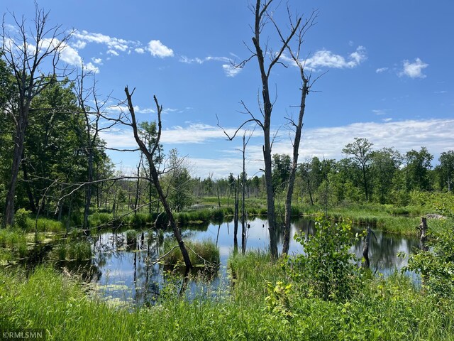 37452 Deer St, Aitkin, MN 56431 - water view