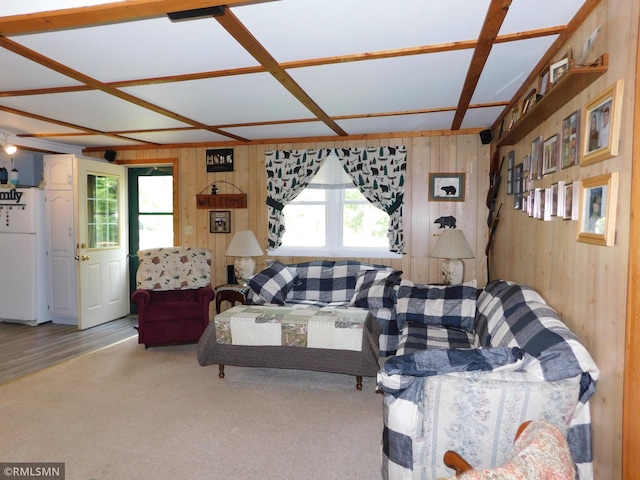 37452 Deer St, Aitkin, MN 56431 - carpeted living area featuring wood walls