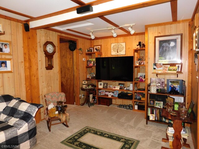 37452 Deer St, Aitkin, MN 56431 - living room featuring carpet flooring and wood walls