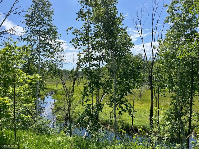 37452 Deer St, Aitkin, MN 56431 - view of nature with a large body of water