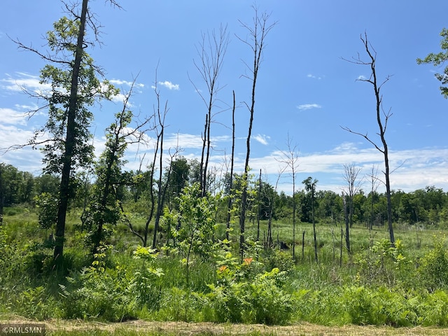 37452 Deer St, Aitkin, MN 56431 - view of undeveloped land
