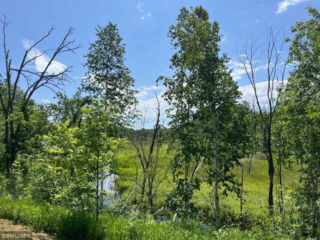 37452 Deer St, Aitkin, MN 56431 - view of nature
