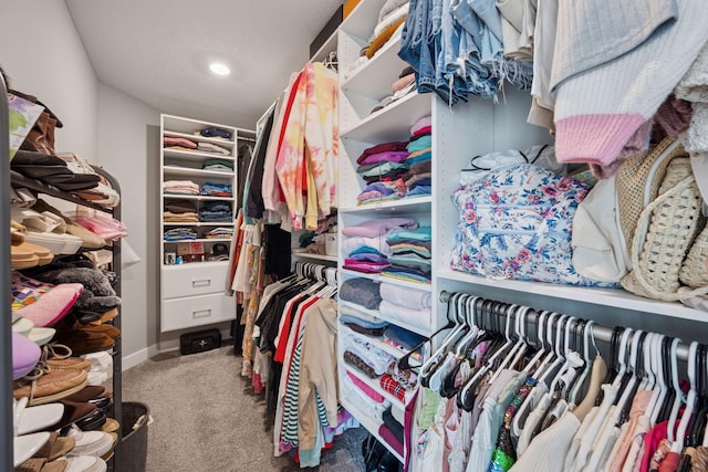 18874 72nd Pl N, Maple Grove, MN 55311 - walk in closet with carpet floors