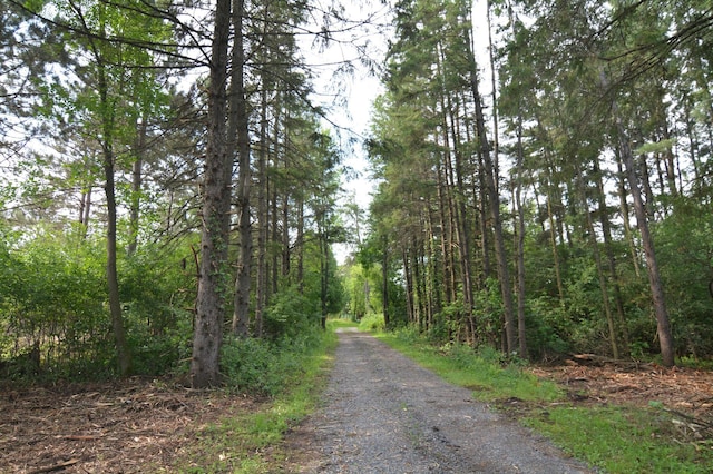 13149 State Highway 23, Milaca, MN 56353 - photo 3