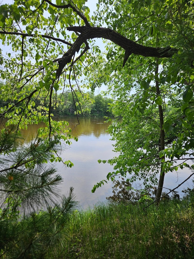 TBD Riverside Trail, Staples, MN 56479