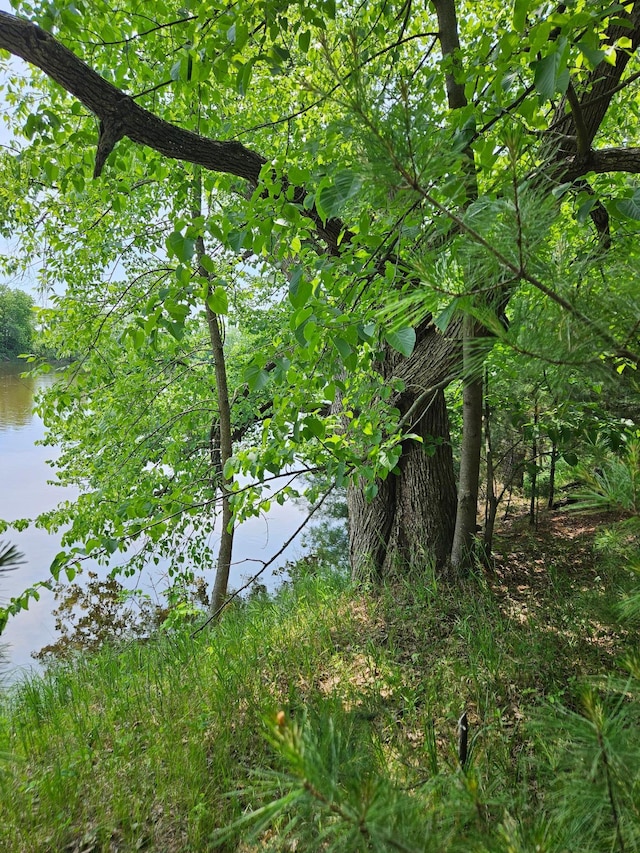 TBD Riverside Trail, Staples, MN 56479