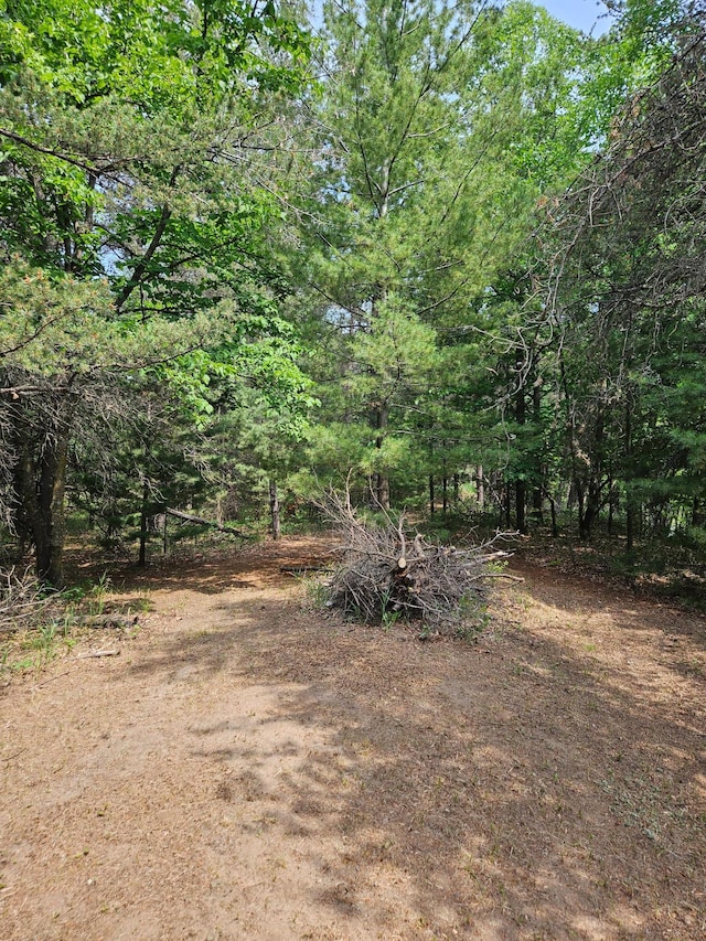 TBD Riverside Trail, Staples, MN 56479