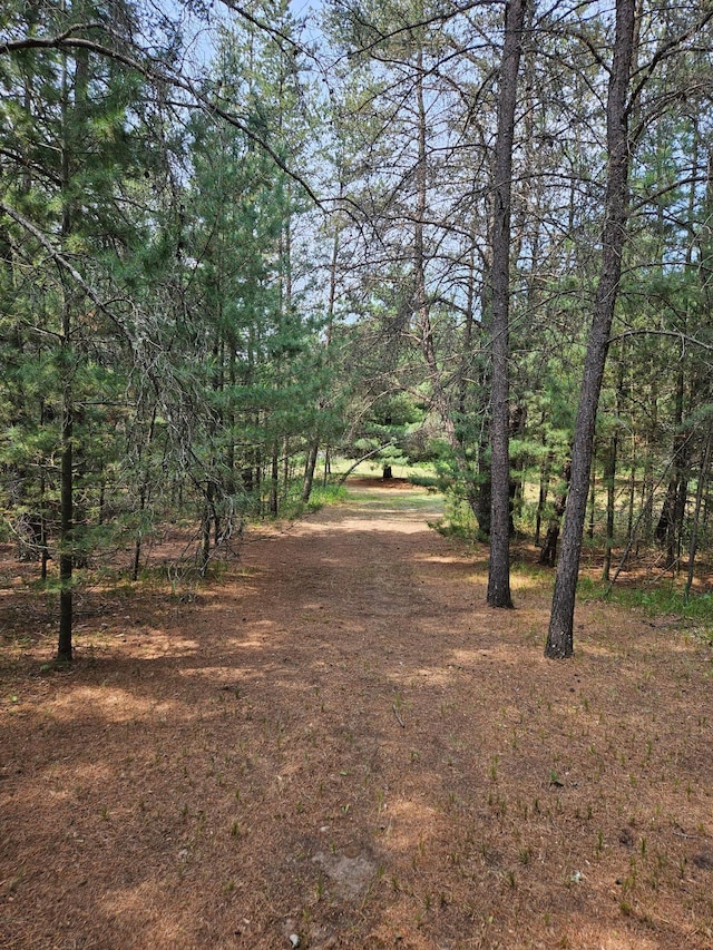 TBD Riverside Trail, Staples, MN 56479
