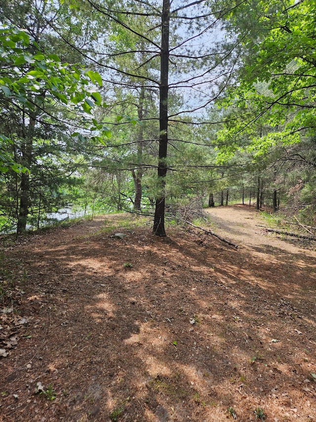 TBD Riverside Trail, Staples, MN 56479