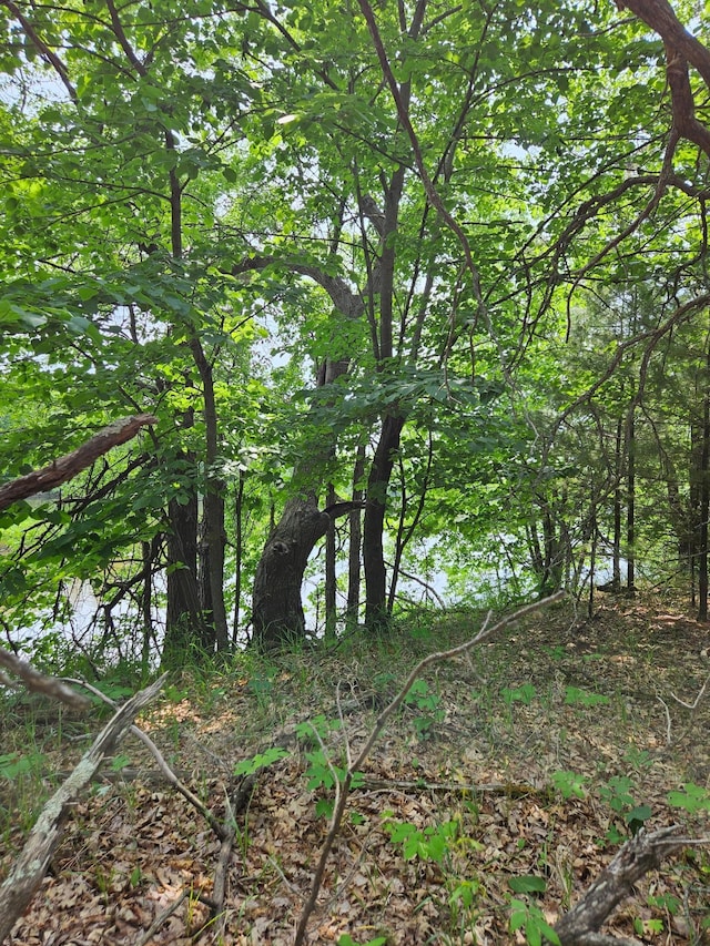 TBD Riverside Trail, Staples, MN 56479