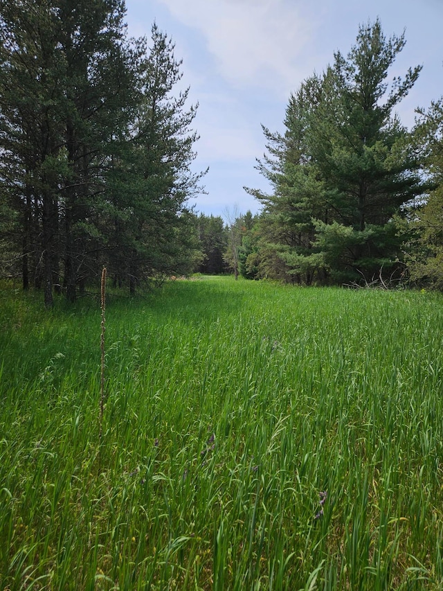TBD Riverside Trail, Staples, MN 56479