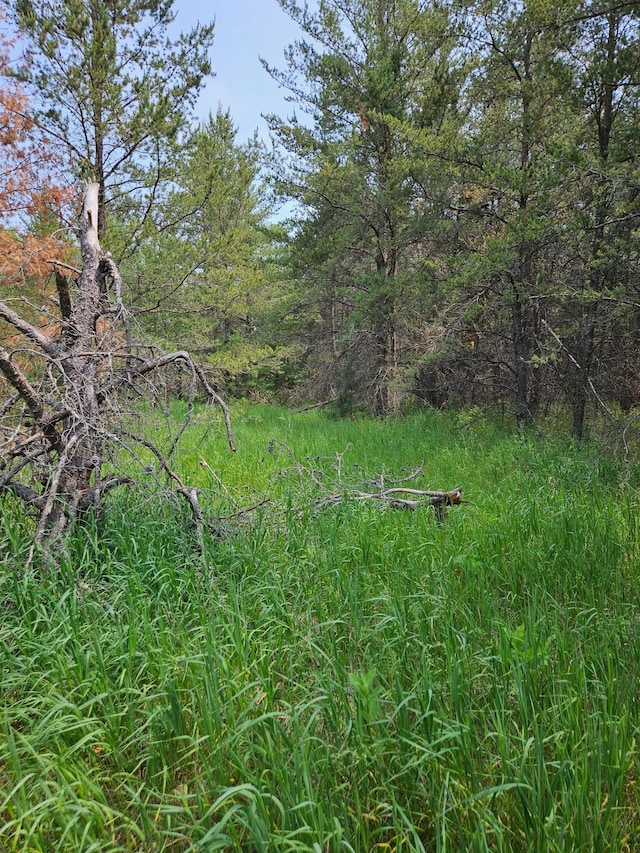 TBD Riverside Trail, Staples, MN 56479