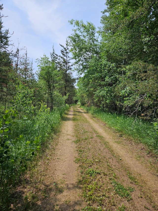 TBD Riverside Trail, Staples, MN 56479