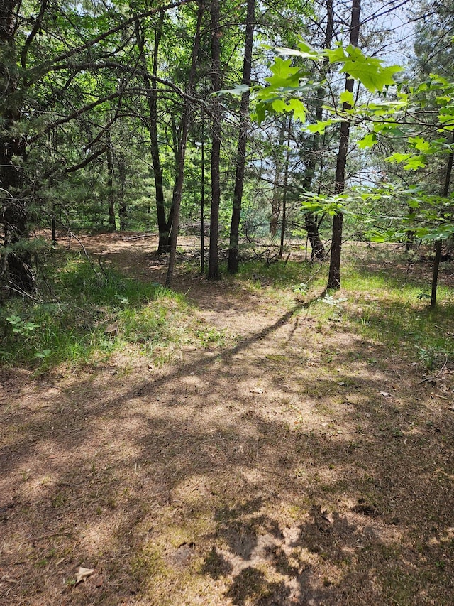 TBD Riverside Trail, Staples, MN 56479