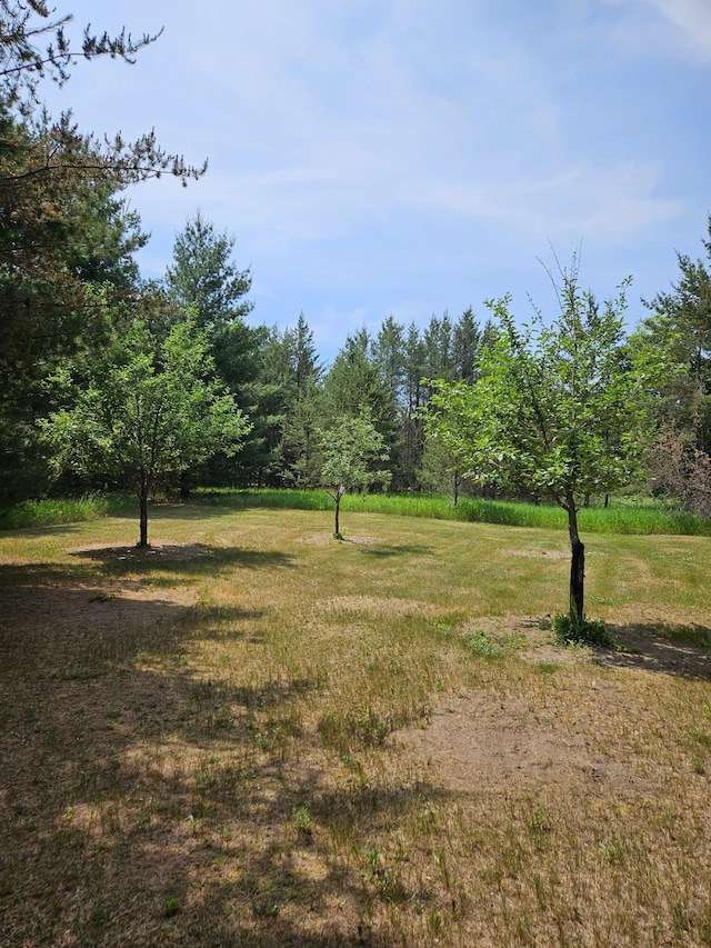 TBD Riverside Trail, Staples, MN 56479