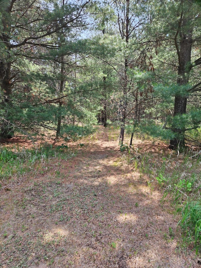 TBD Riverside Trail, Staples, MN 56479