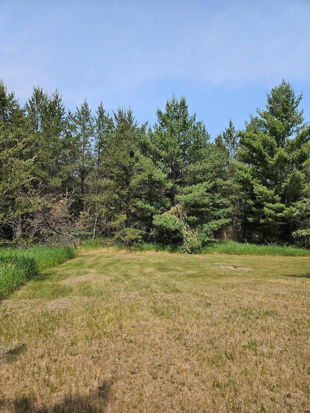 TBD Riverside Trail, Staples, MN 56479