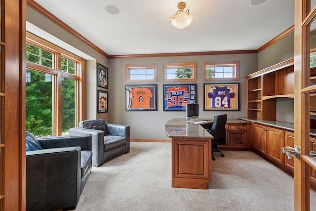 15208 Fairway Heights Rd NW, Prior Lake, MN 55372 - office area with light colored carpet and ornamental molding