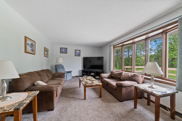 5510 Thompson Hill Rd, Proctor, MN 55810 - living room with healthy amount of natural light, a textured ceiling, and light carpet