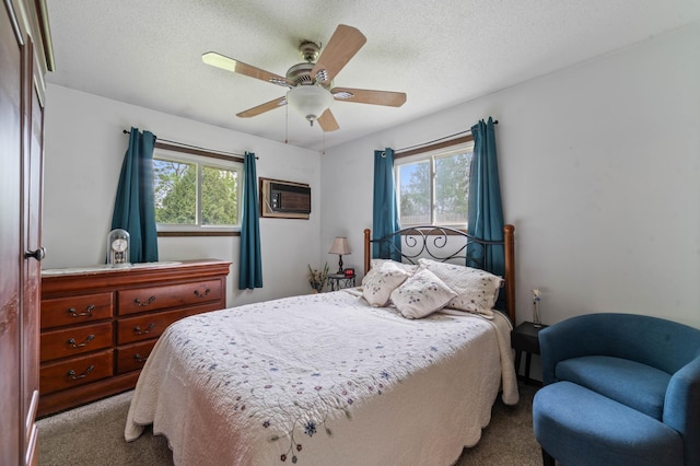 5510 Thompson Hill Rd, Proctor, MN 55810 - bedroom featuring carpet flooring, multiple windows, a ceiling fan, and a textured ceiling