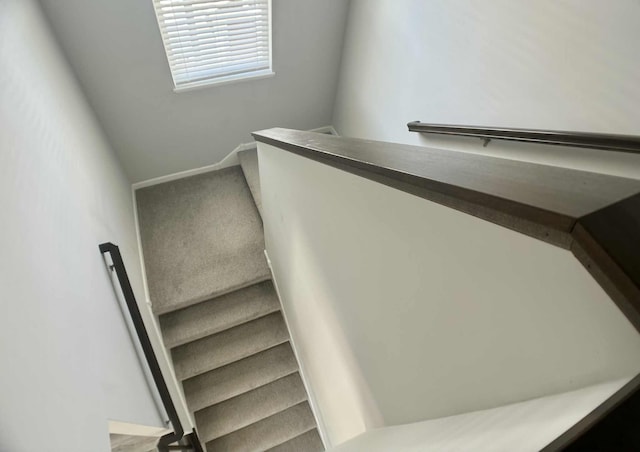 7628 Carla Path, Inver Grove Heights, MN 55076 - staircase with carpet