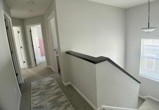 7628 Carla Path, Inver Grove Heights, MN 55076 - hallway featuring an upstairs landing, carpet, and plenty of natural light