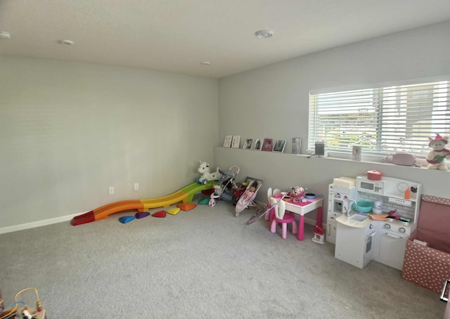 7628 Carla Path, Inver Grove Heights, MN 55076 - rec room featuring carpet flooring