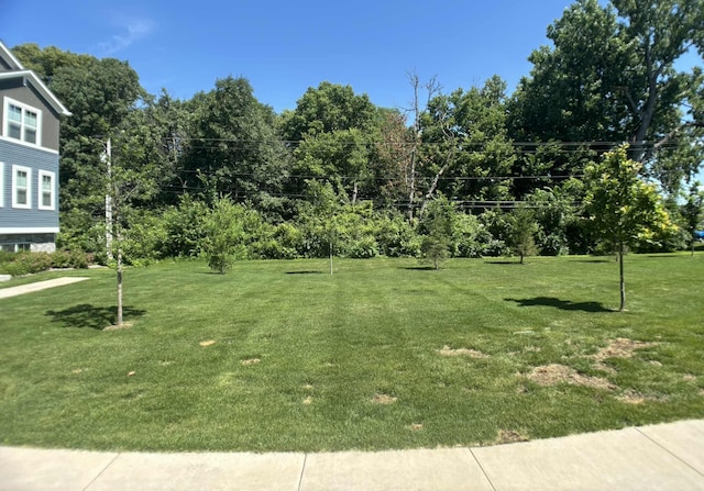 7628 Carla Path, Inver Grove Heights, MN 55076 - view of green lawn