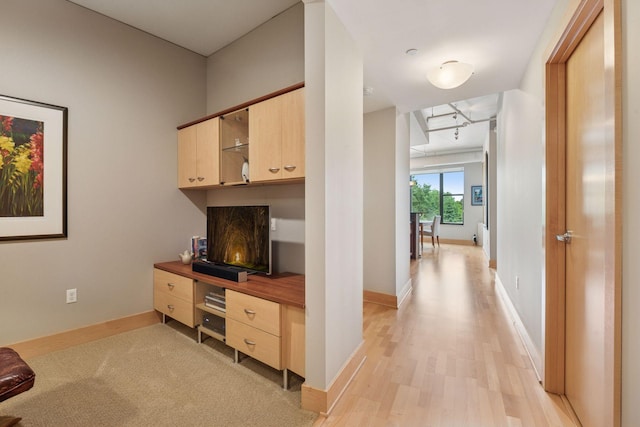 150 2nd St NE Unit B302, Minneapolis, MN 55413 - hall featuring light wood-style floors and track lighting